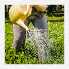 Gartenzauberer